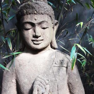 Read more about the article Self-compassion