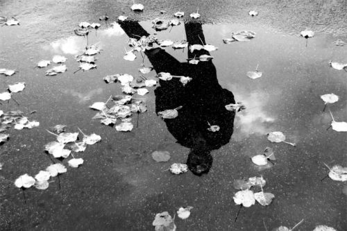 Reflective process